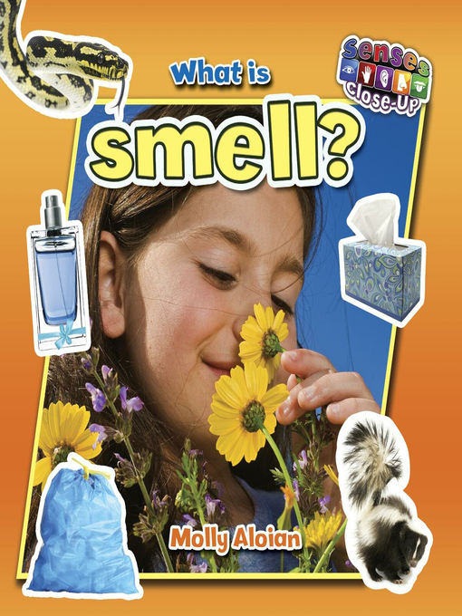 Molly Aloian创作的What is smell?作品的详细信息 - 可供借阅